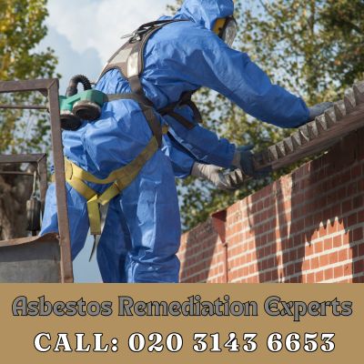 Asbestos Remediation Experts Orsett