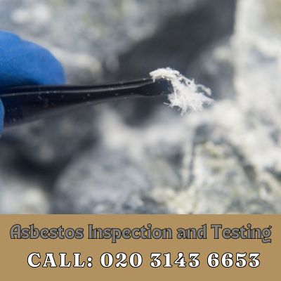 Comprehensive Asbestos Inspection and Testing Services in Orsett